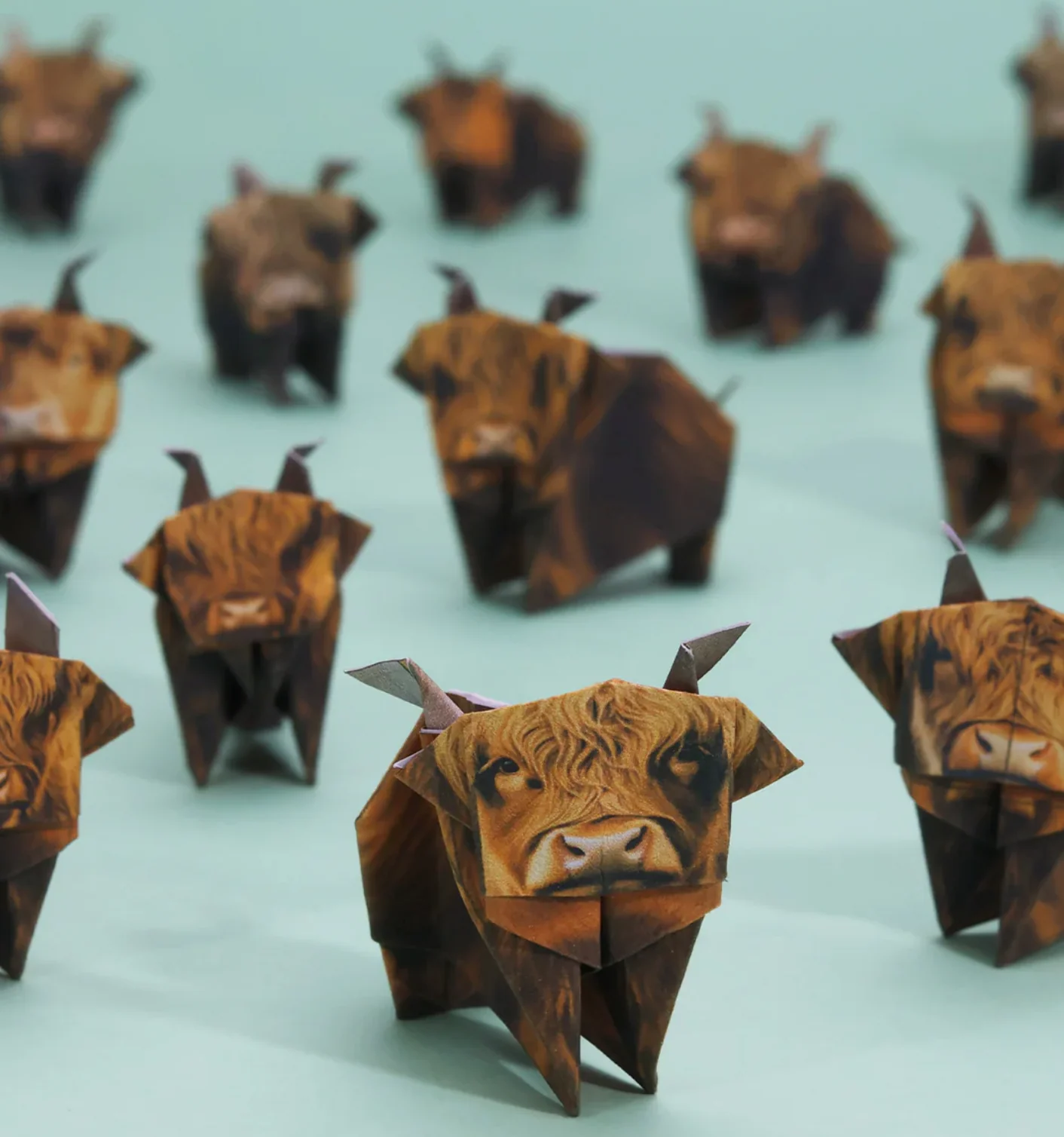 Paper Highland Cows - Image 3