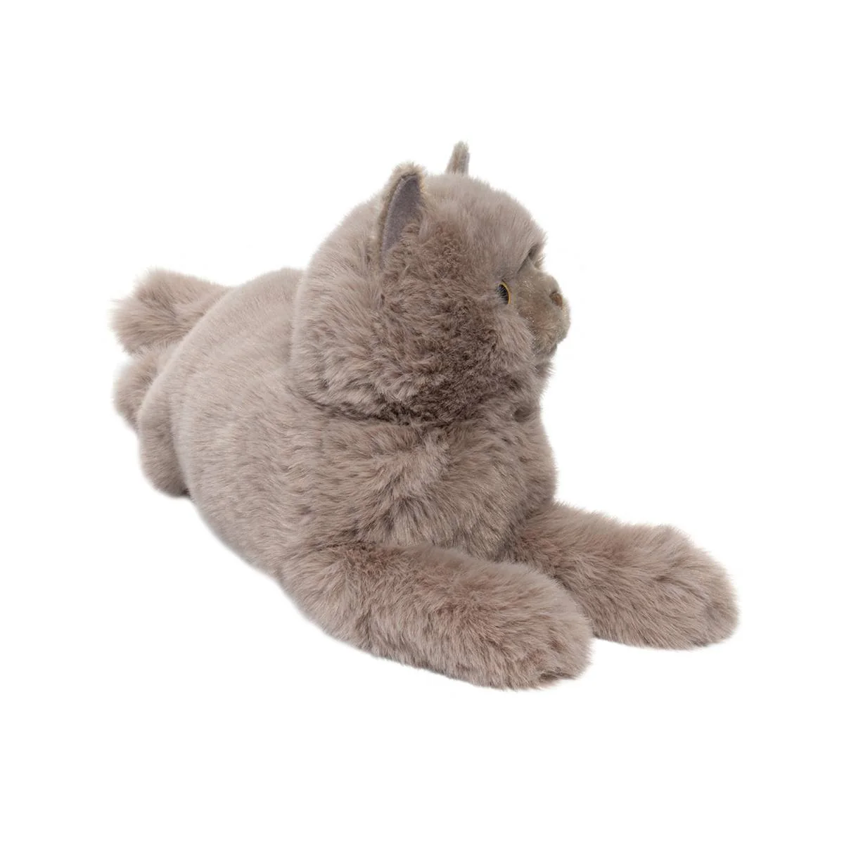 Persian Cat Juliette - Image 3