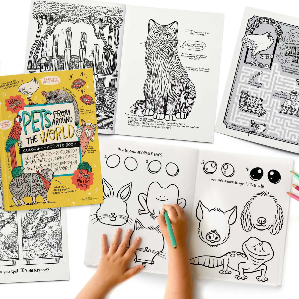Pets From Around the World Coloring and Activity Book - Image 4