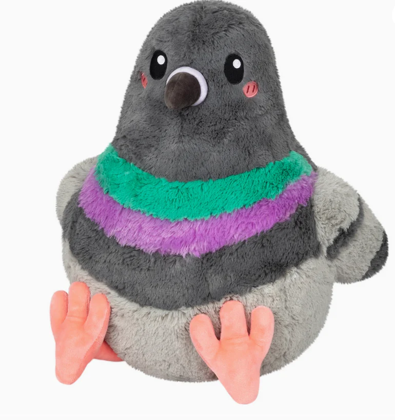 PIgeon