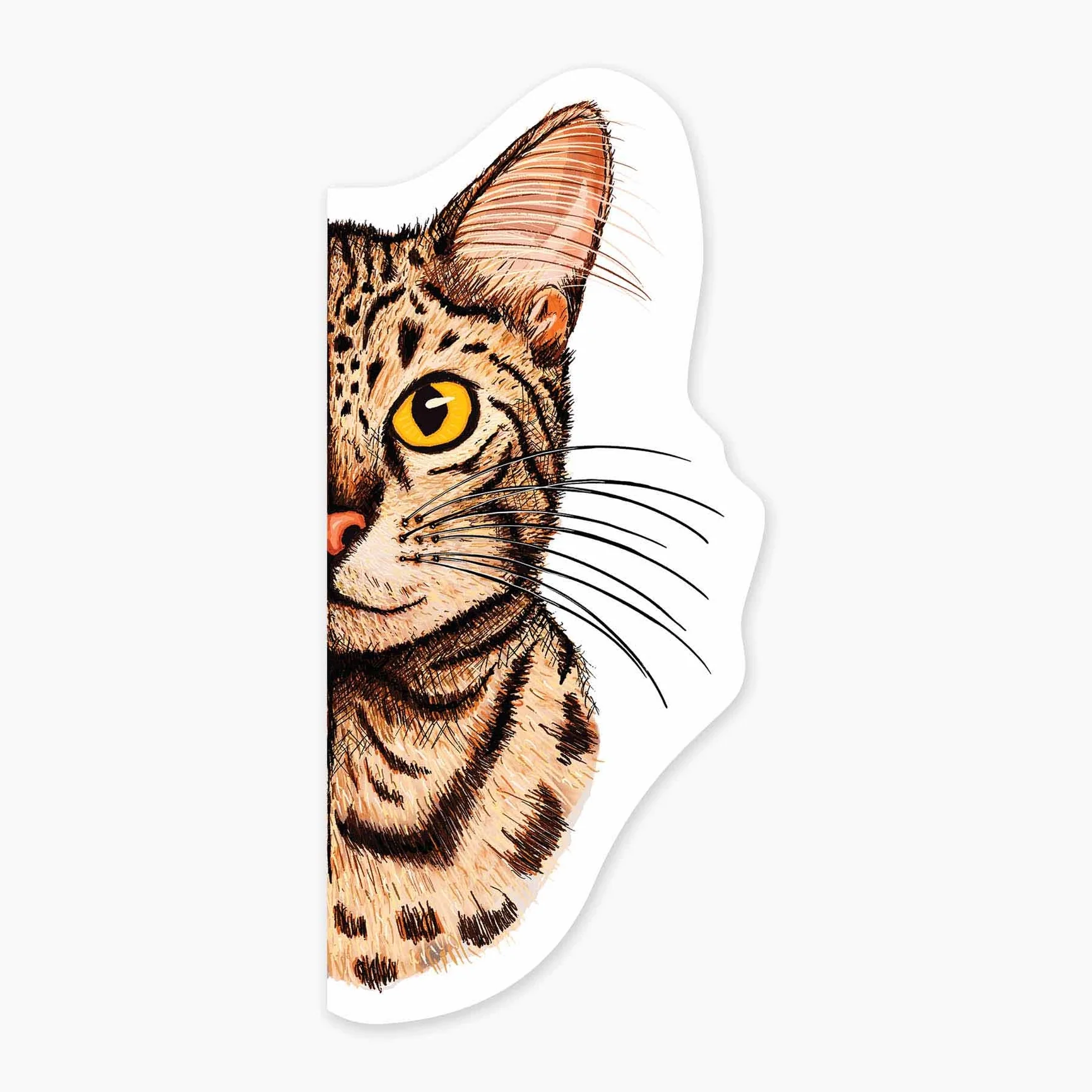 Pitten Kitten Sticker