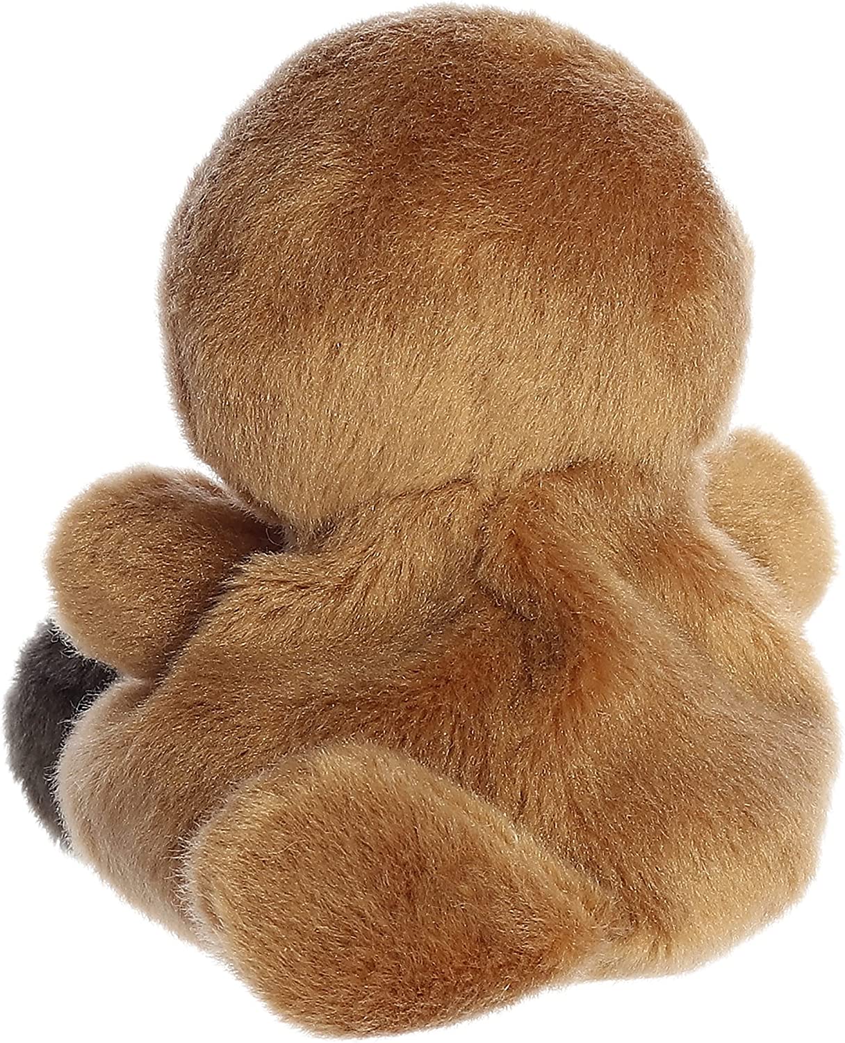 Palm Pals Platypus Patty - Image 3
