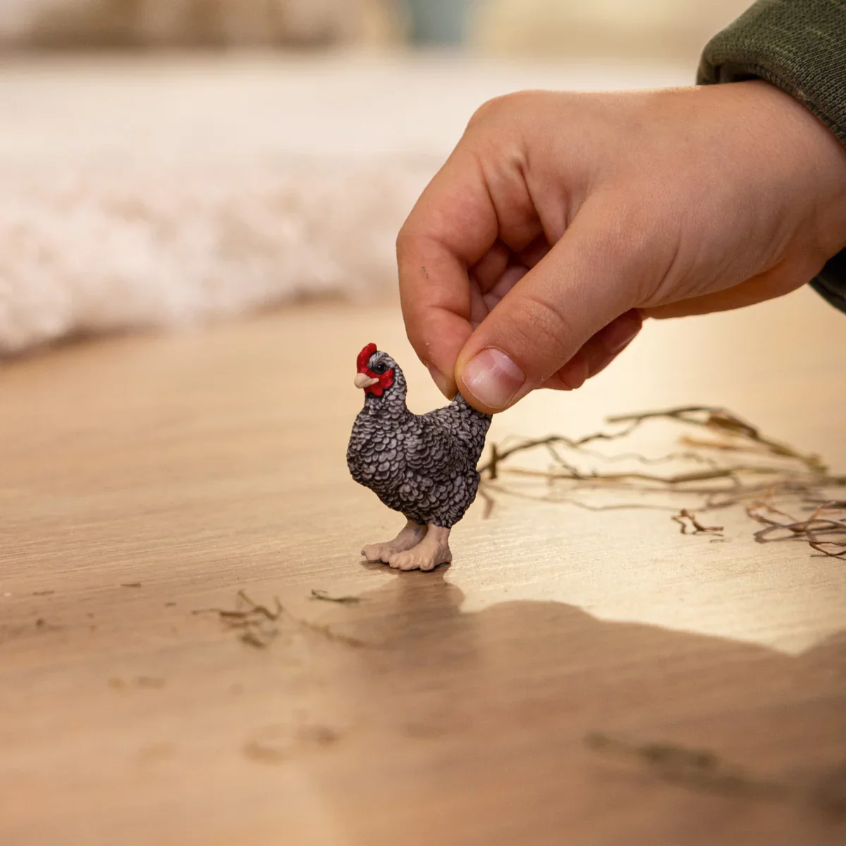 Plymouth Rock Chicken - Image 2
