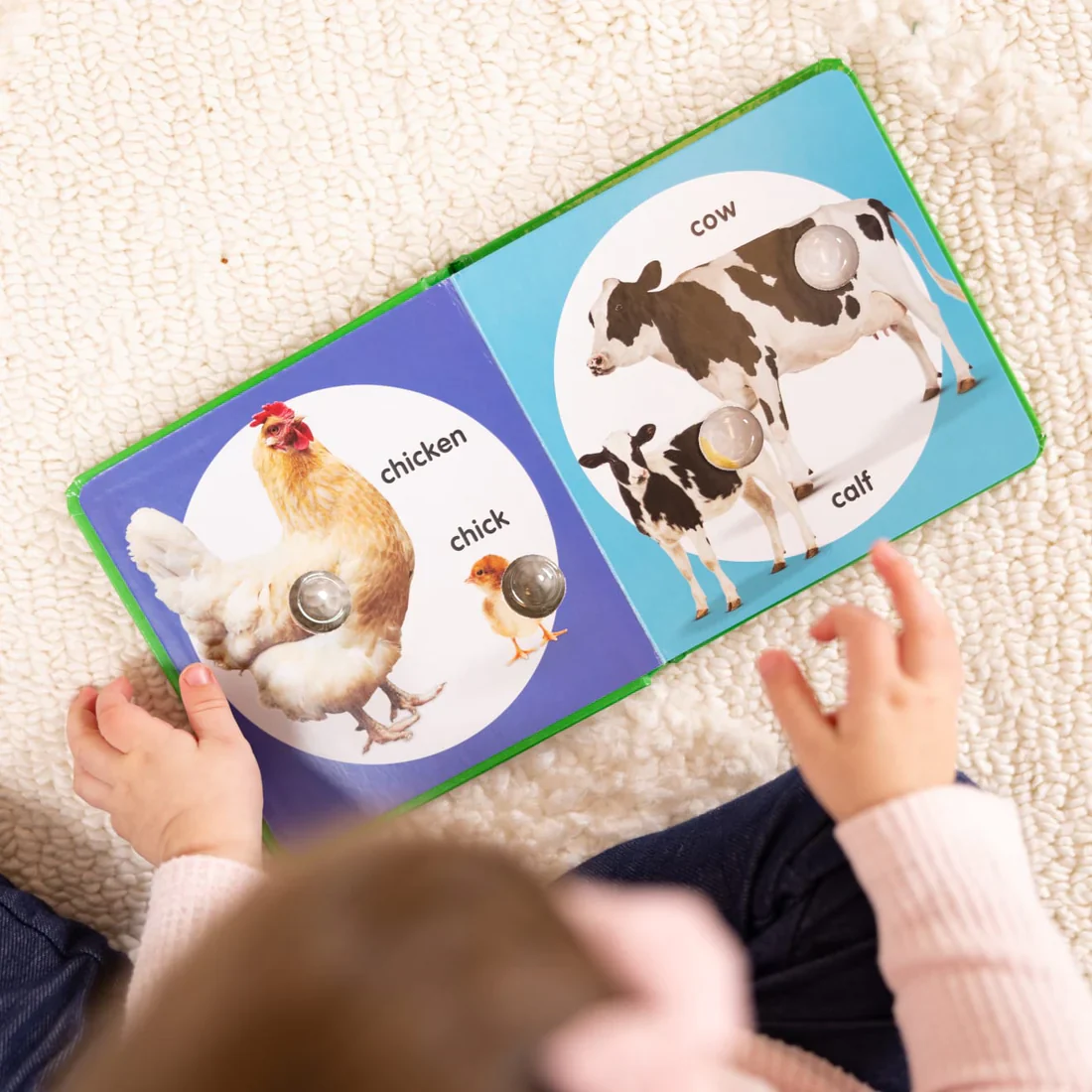 Poke A Dot! Farm Animal Families - Image 2