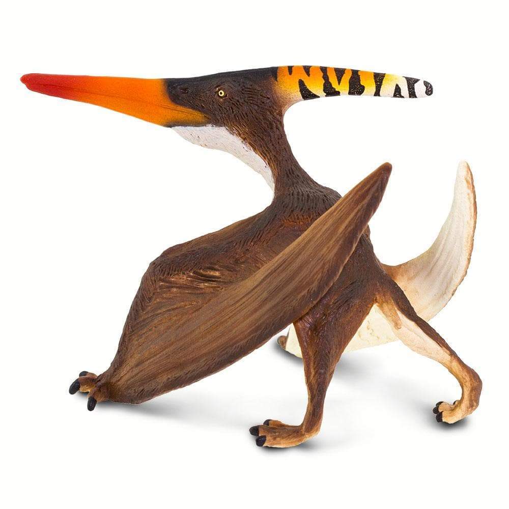 Pteranodon - Image 3