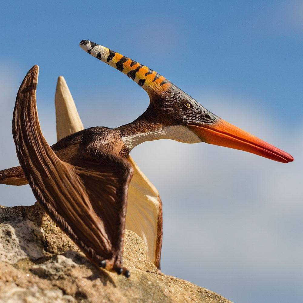 Pteranodon - Image 4