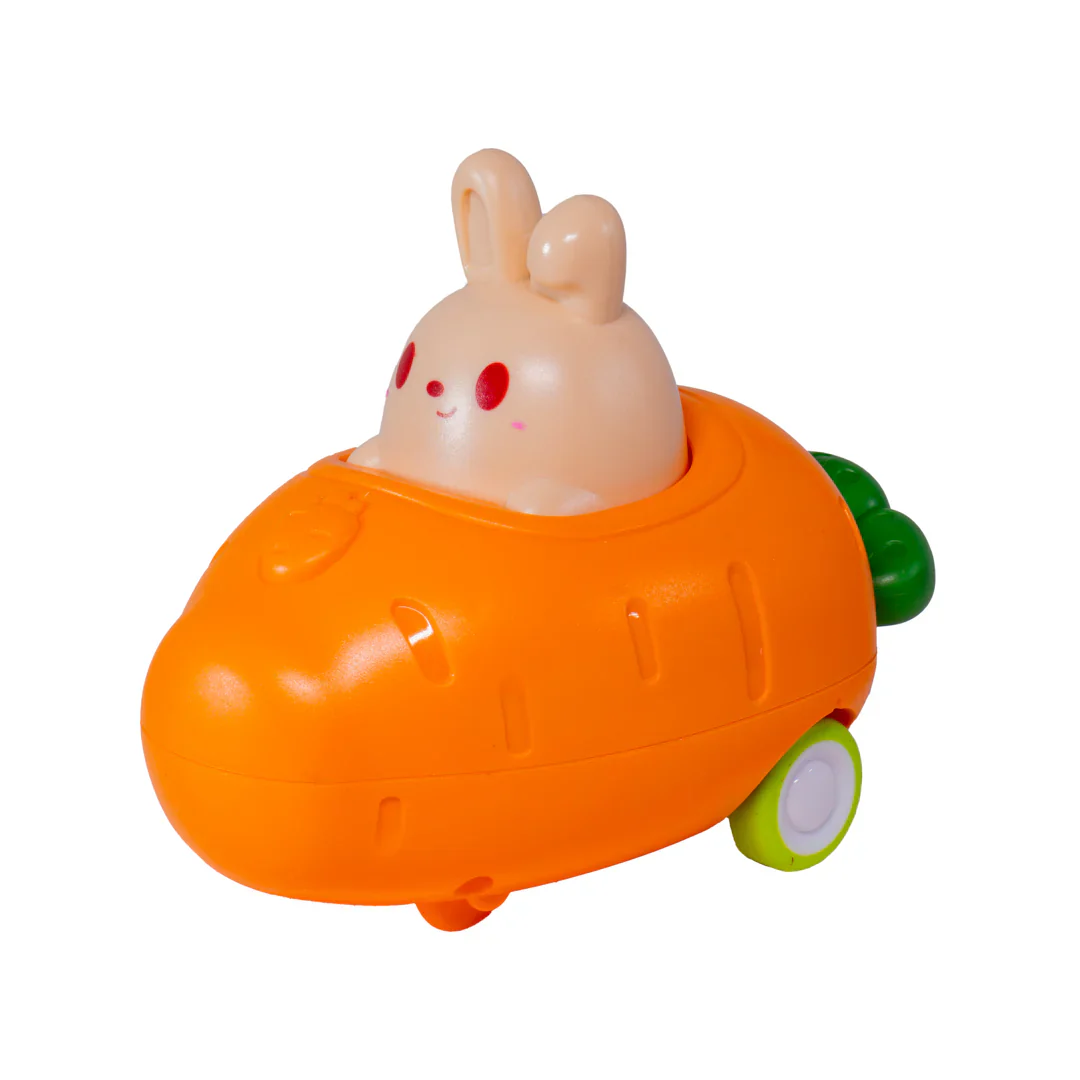 Push N Go Bunny