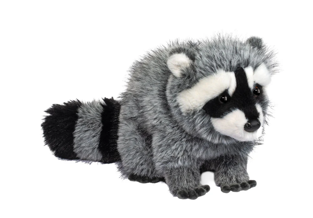 Raccoon Roz