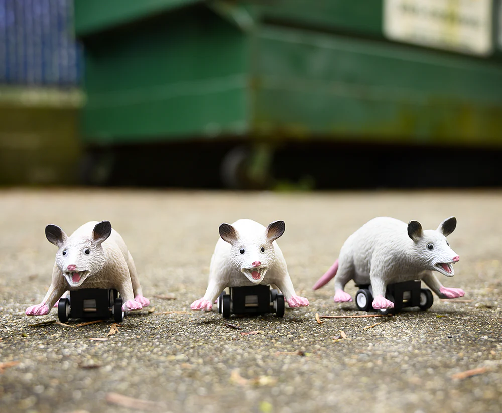 Racing Possum
