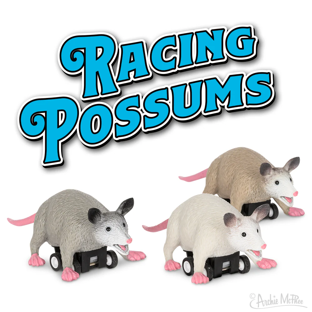Racing Possum - Image 2
