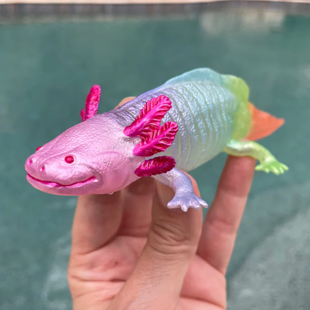 Rainbow Axolotl - Image 2
