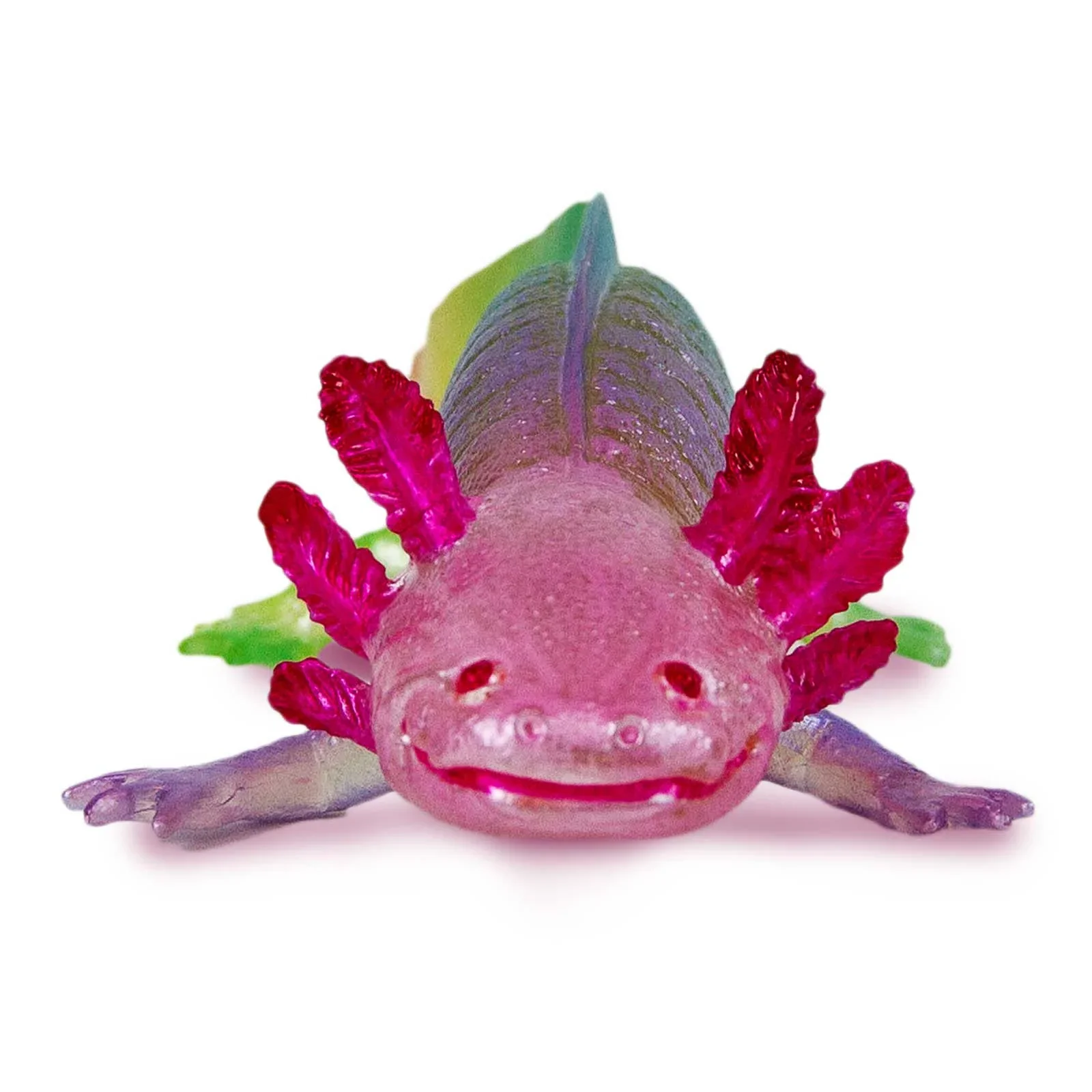 Rainbow Axolotl - Image 3