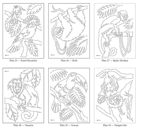 Rainforest Dot to Dot - Image 4