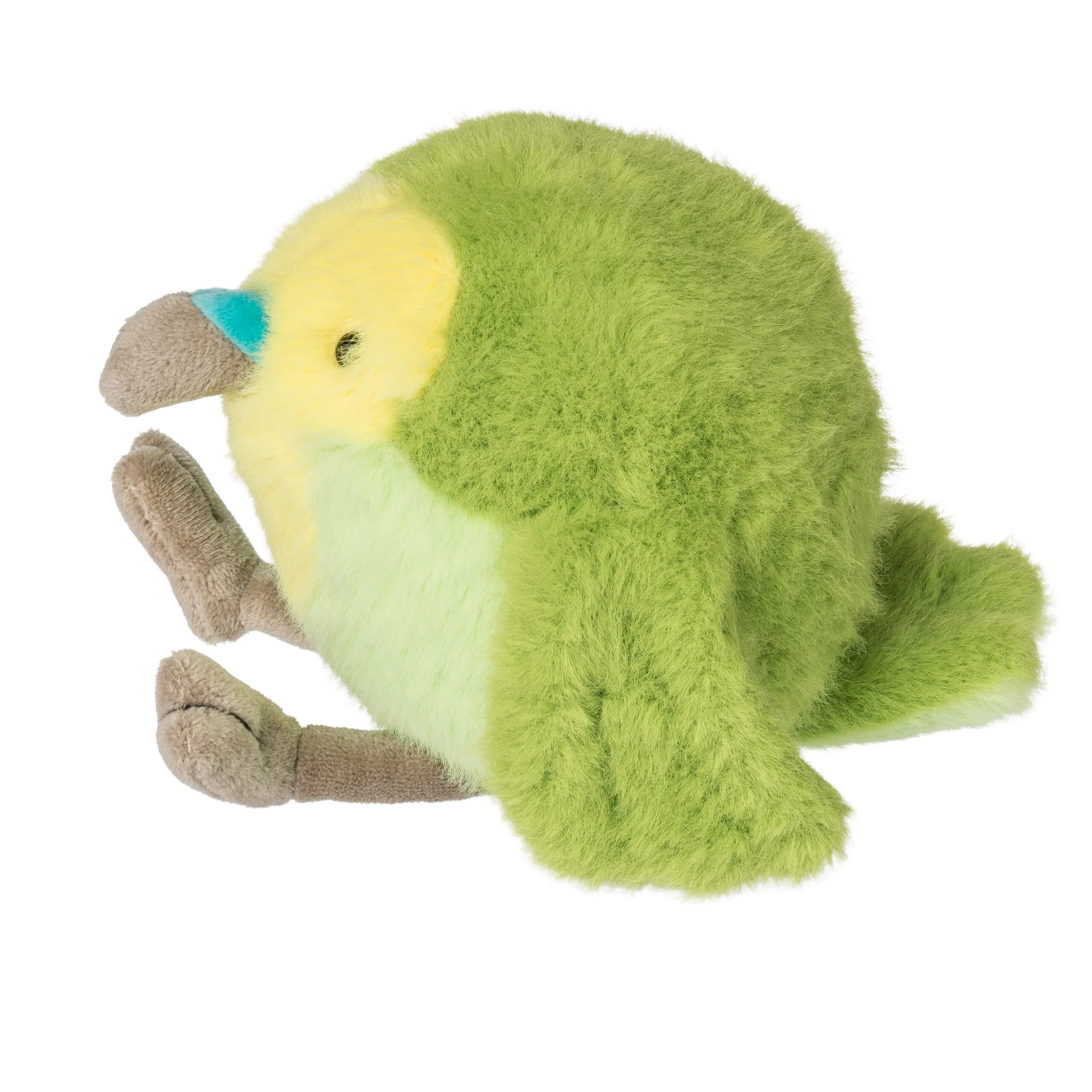 Rolly Parakeet - Image 2