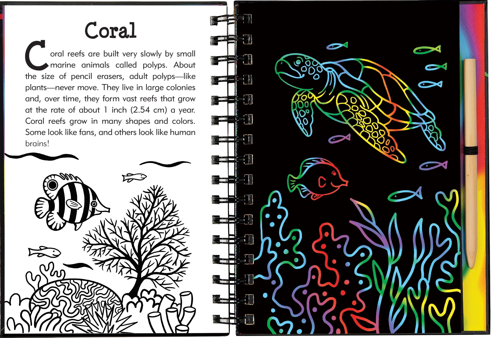 Scratch & Sketch | Under the Sea - Image 2