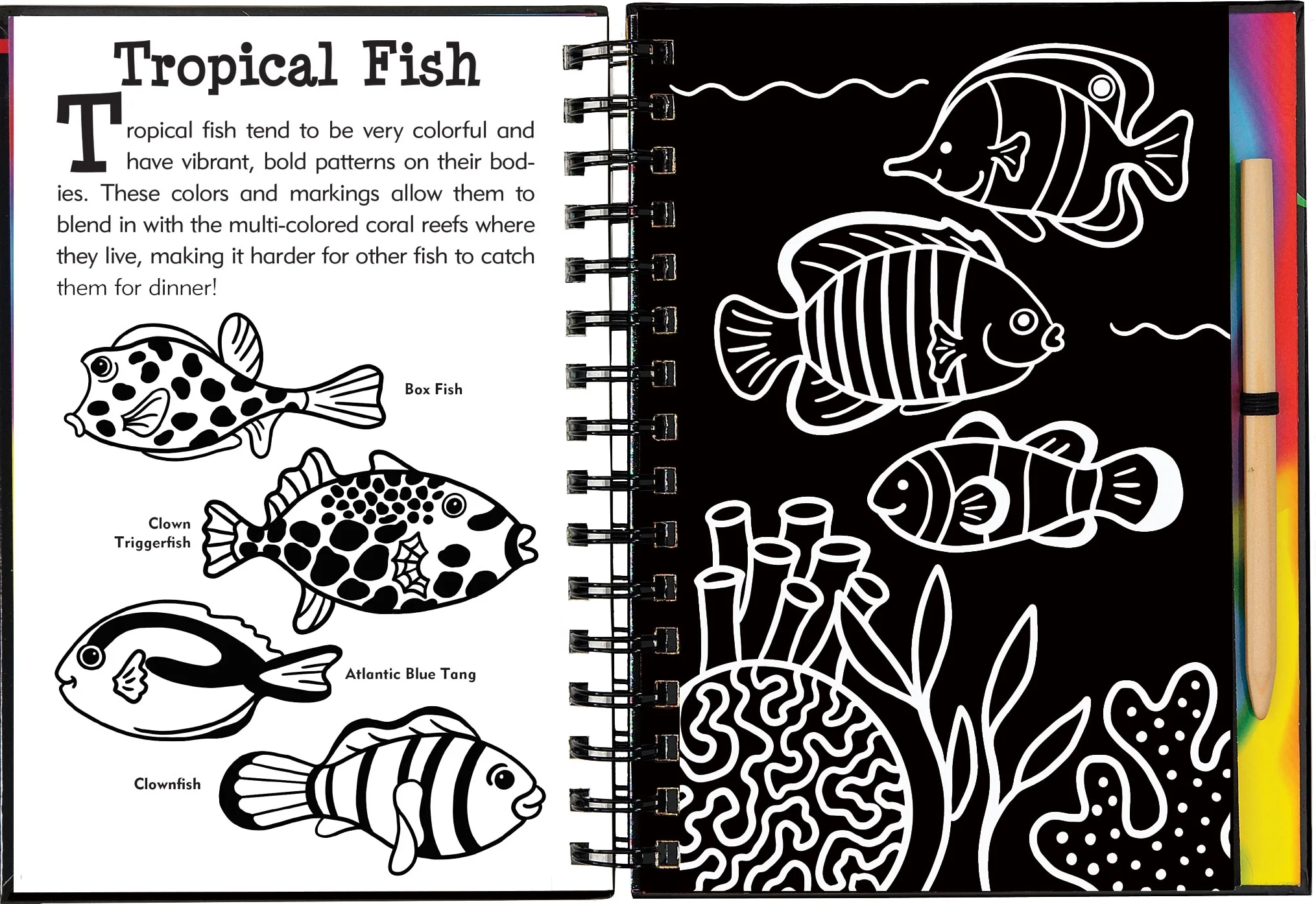 Scratch & Sketch | Under the Sea - Image 3