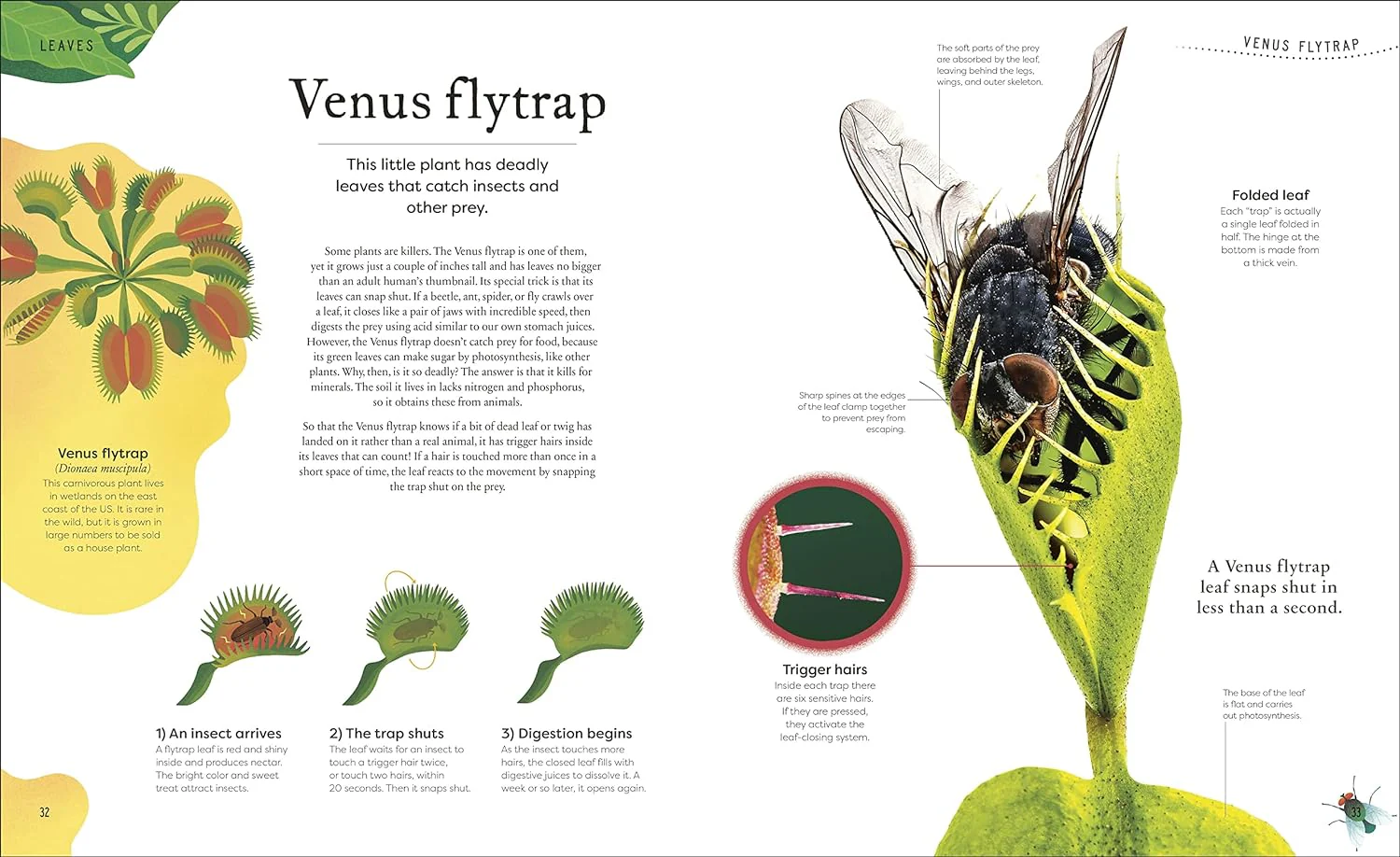 Secret World of Plants - Image 3
