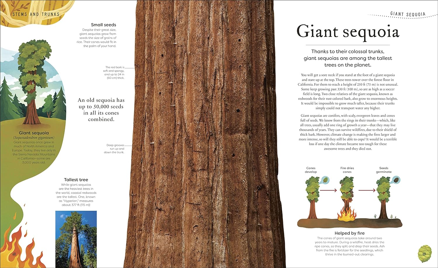 Secret World of Plants - Image 5