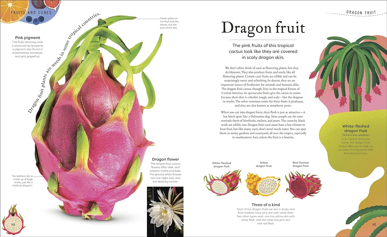 Secret World of Plants - Image 7