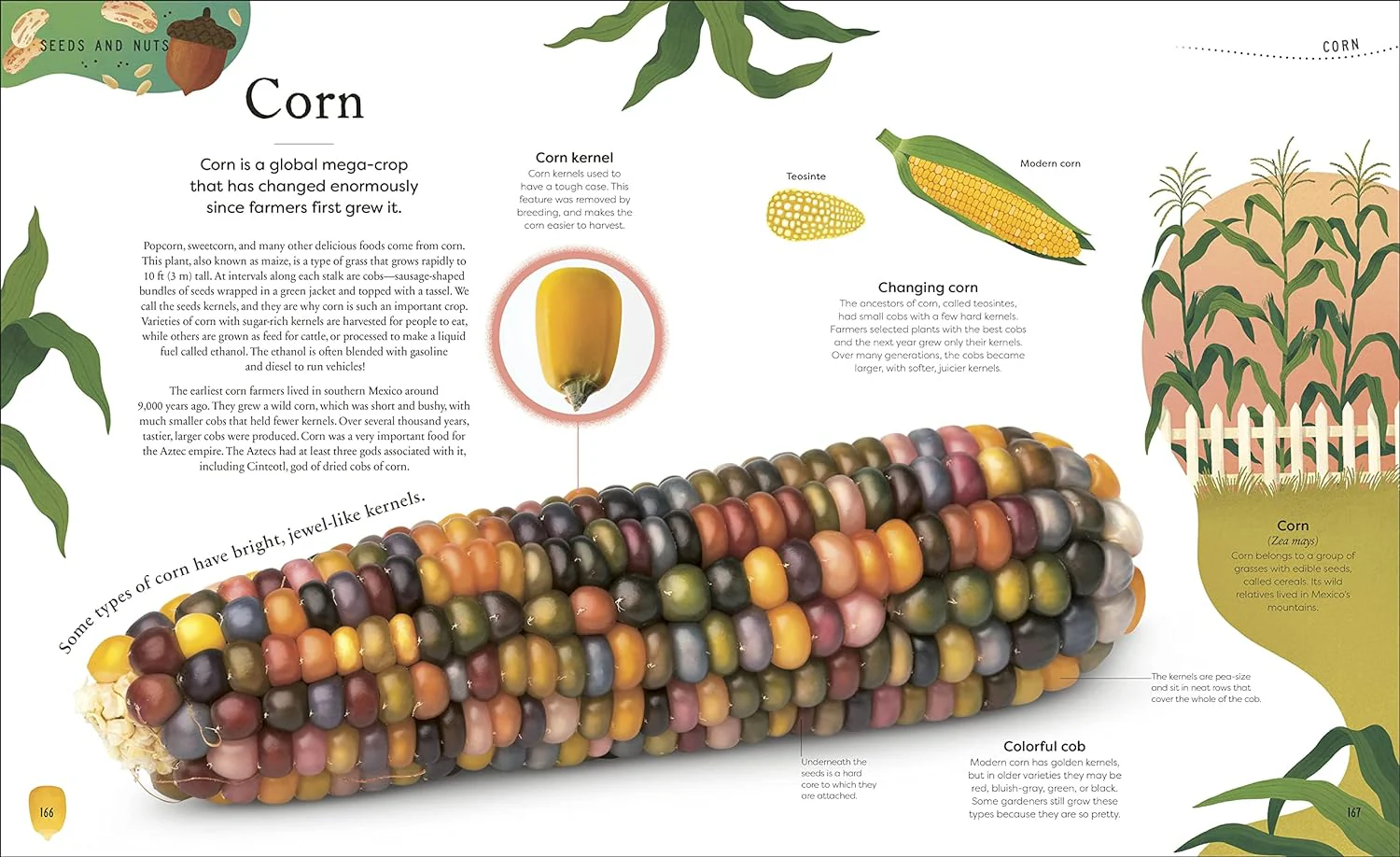 Secret World of Plants - Image 8