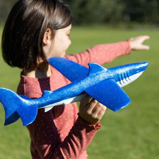 Shark Glider - Image 3