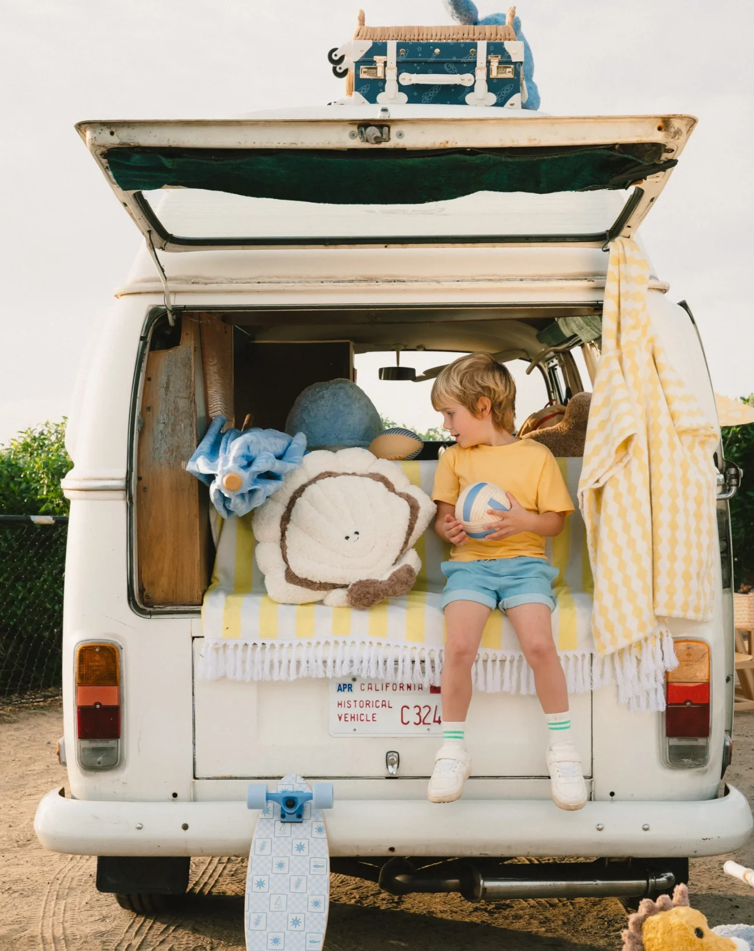 Shell - Image 2