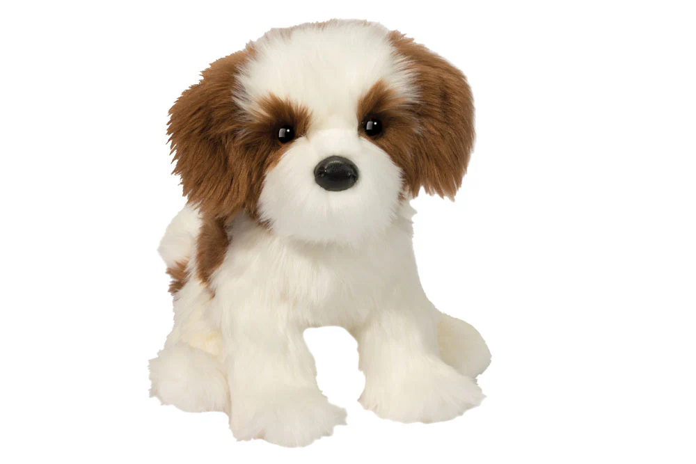 Shih Tzu Farren