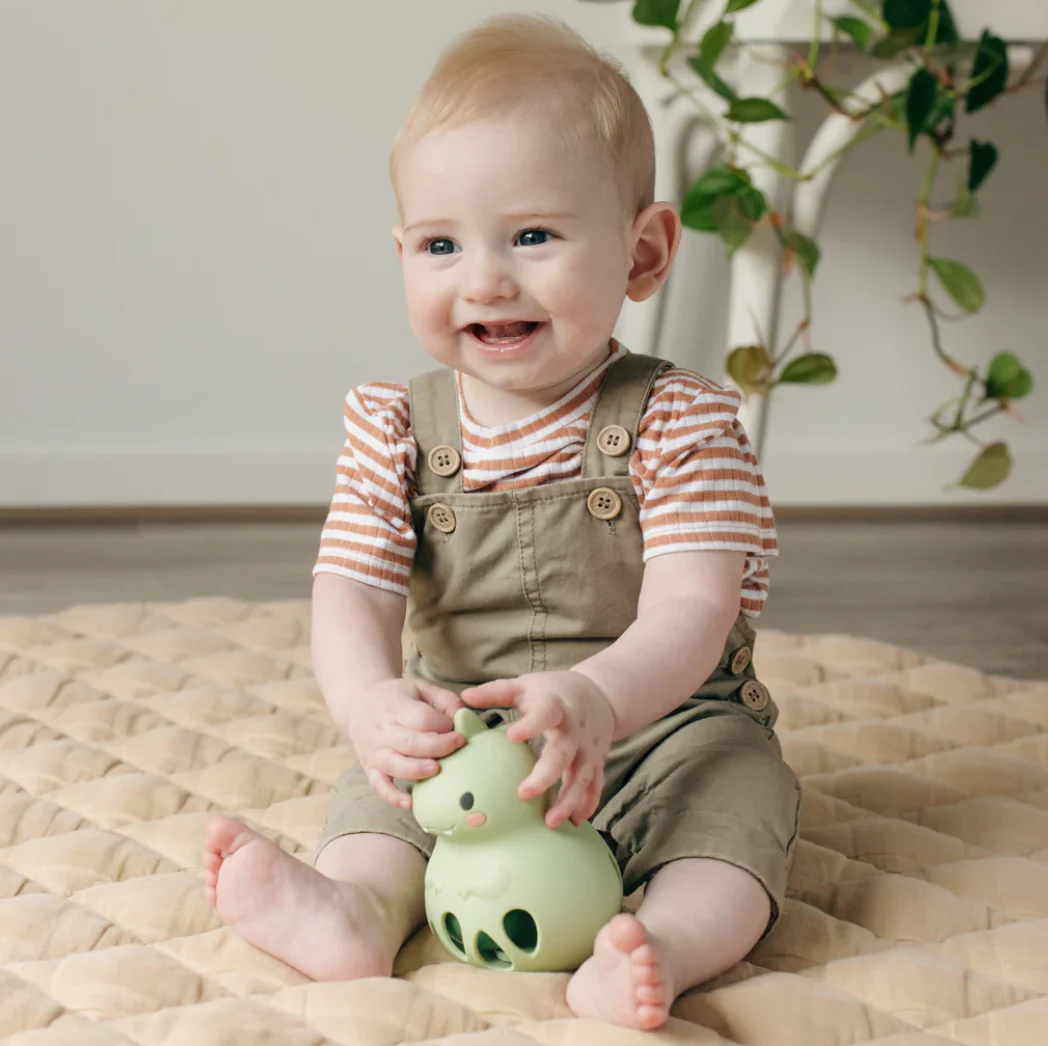 Silicone Rattle | Dino - Image 3