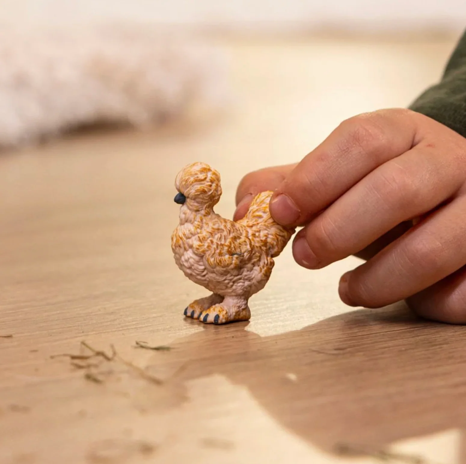 Silkie Chicken - Image 2
