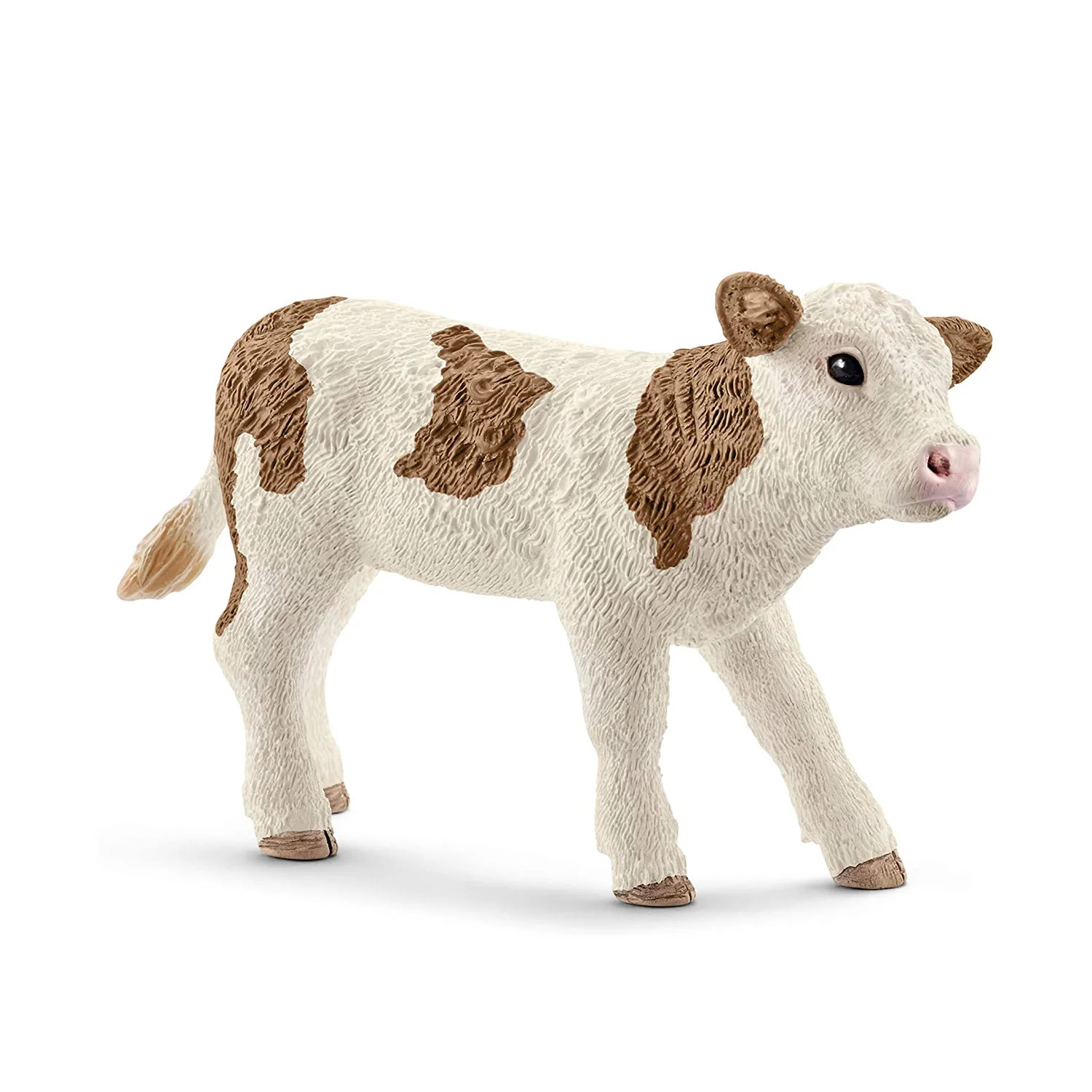 Simmental Calf