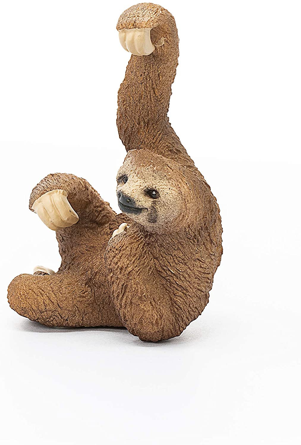 Sloth - Image 2
