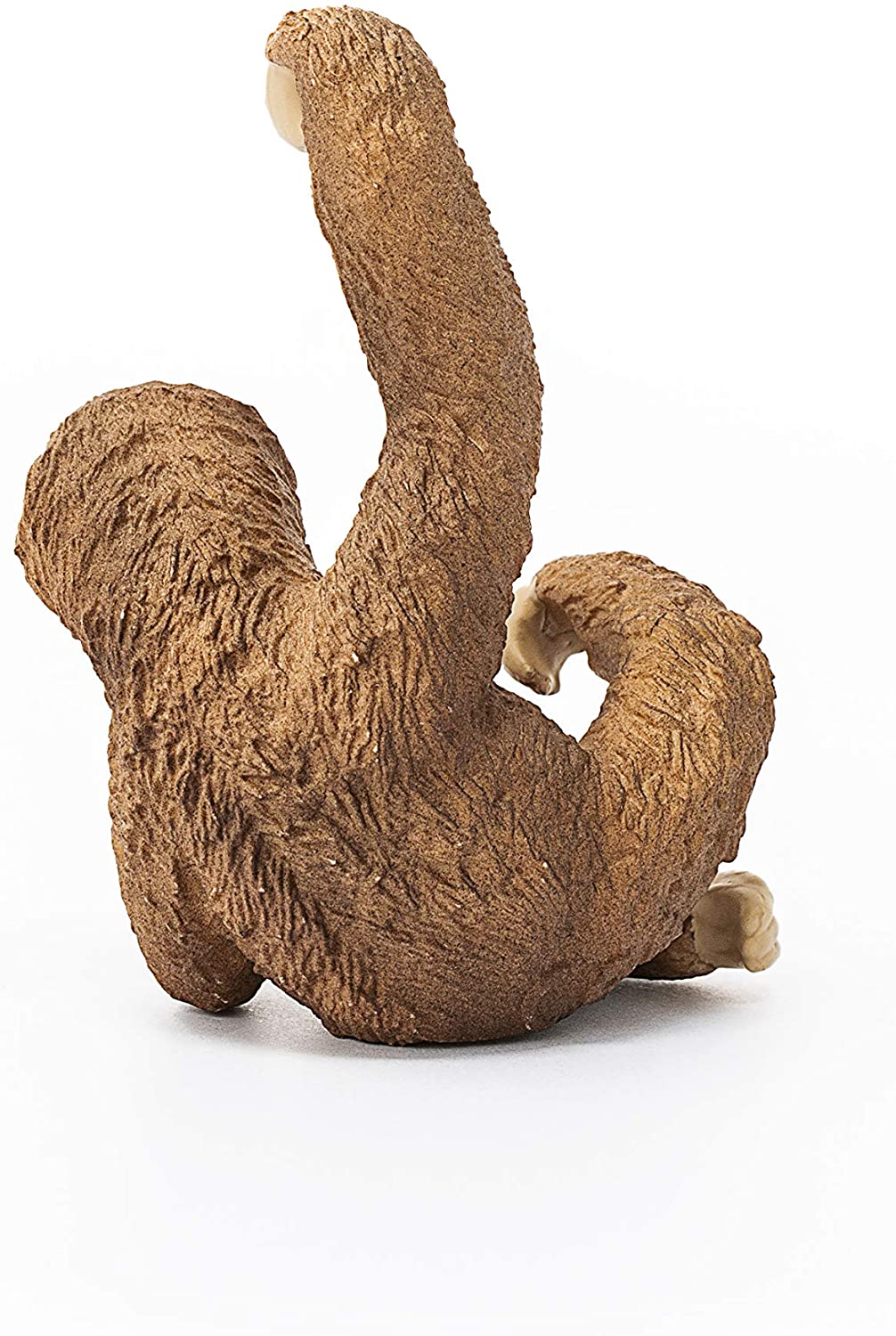 Sloth - Image 3