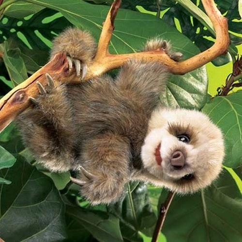 Sloth Baby Puppet