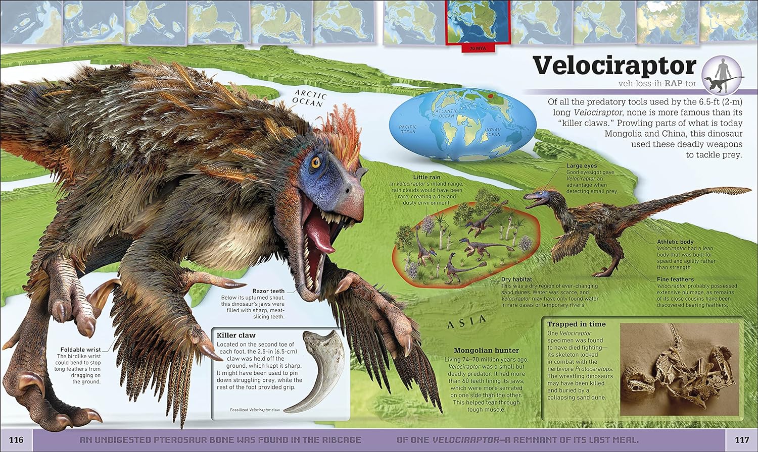 Smithsonian Dinosaur Atlas - Image 3