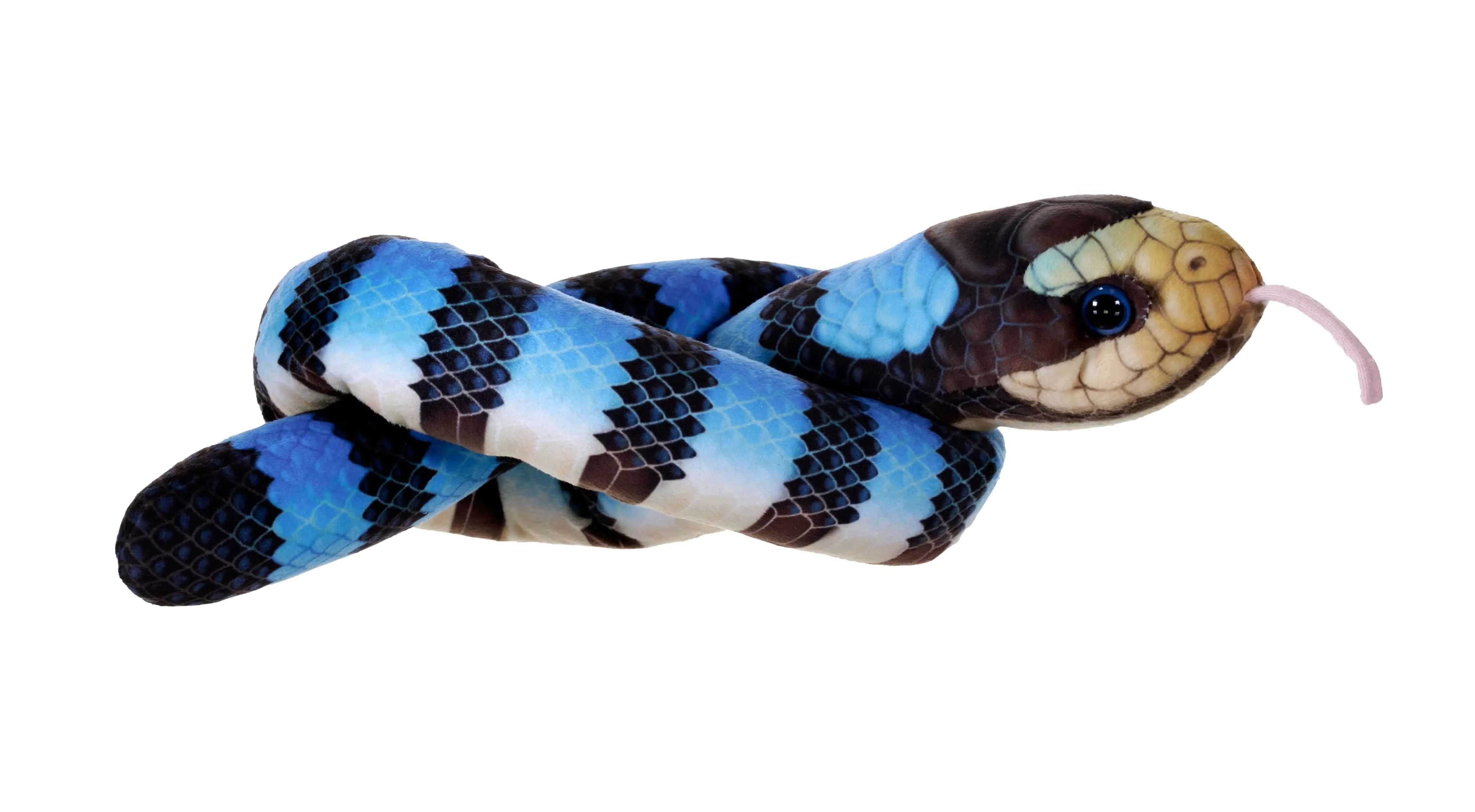 Snake Coiled | Yellow Lipped Green Sea