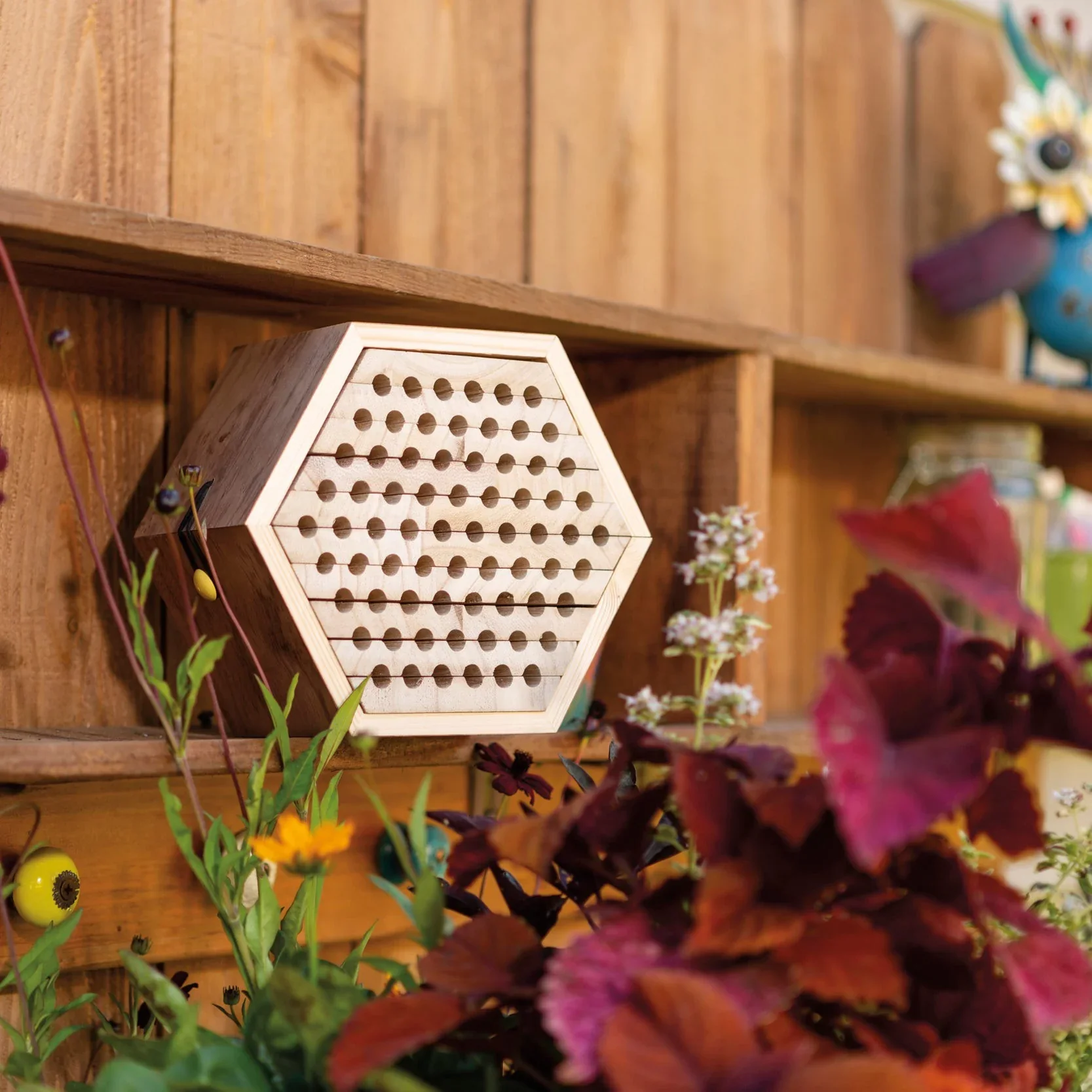 Solitary Bee Habitat - Image 2