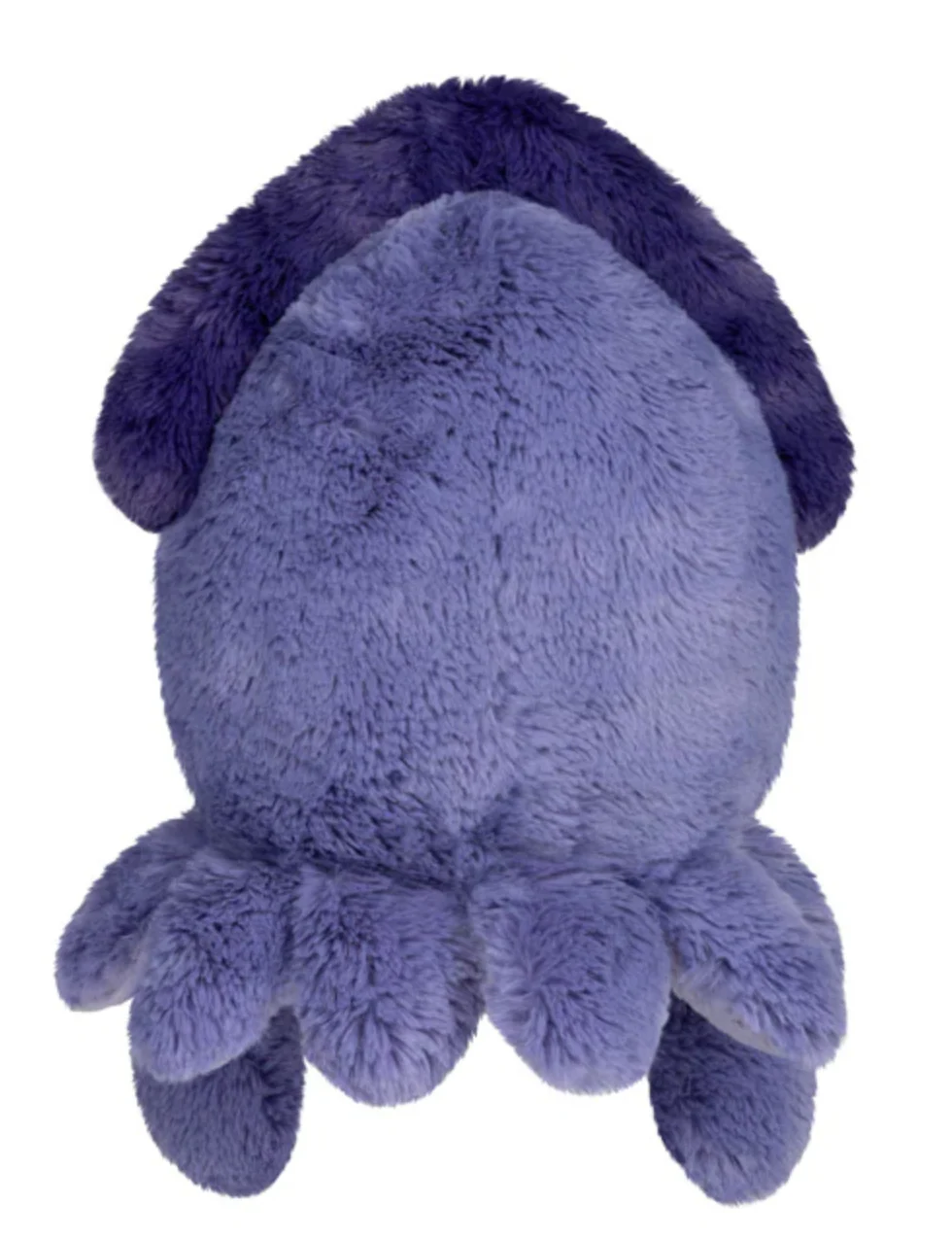 Squid Mini - Image 2