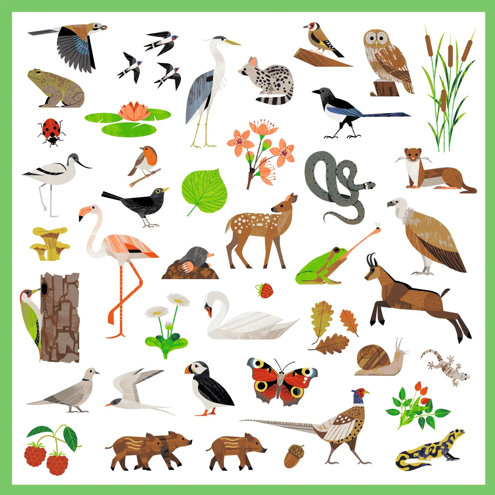 Fauna Stickers - Image 3