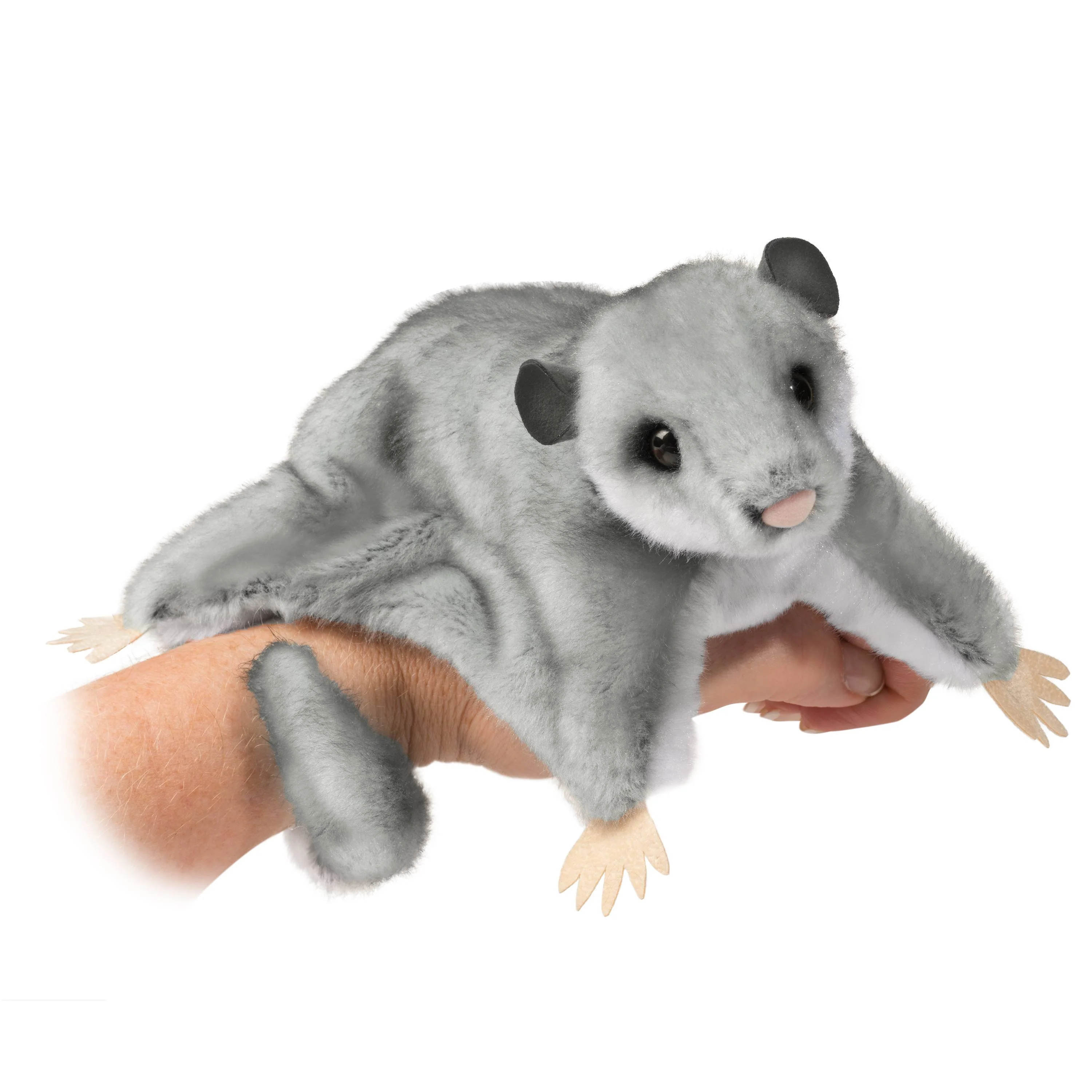 Sugar Glider Squeek - Image 2