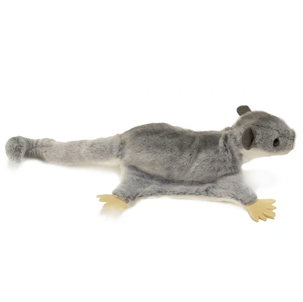 Sugar Glider Squeek - Image 3