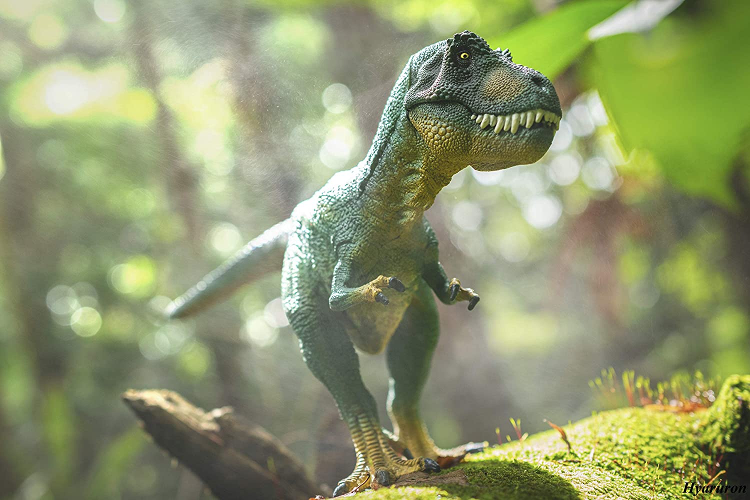 Tyrannosaurus Rex - Image 4