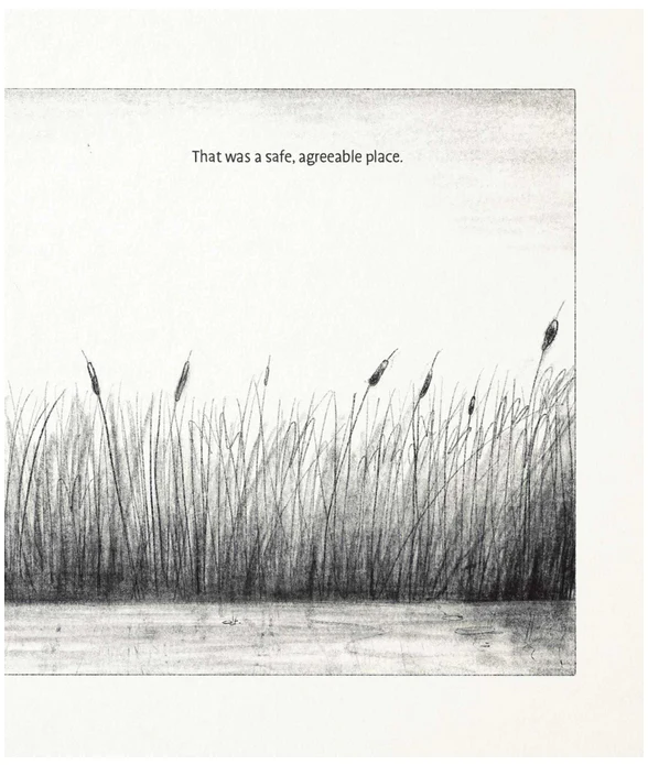 The Capybaras - Image 2