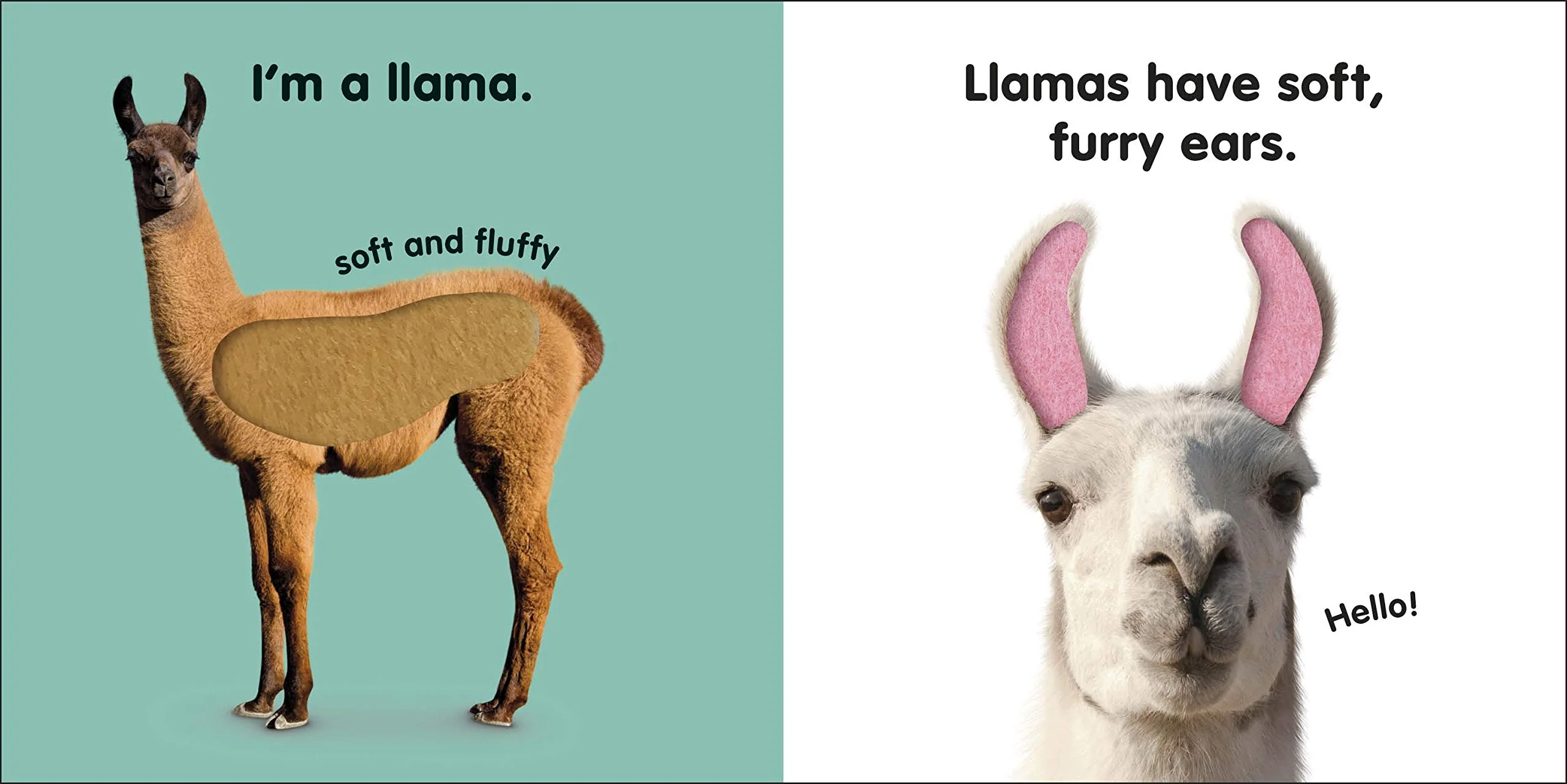 Touch & Feel Llama - Image 4