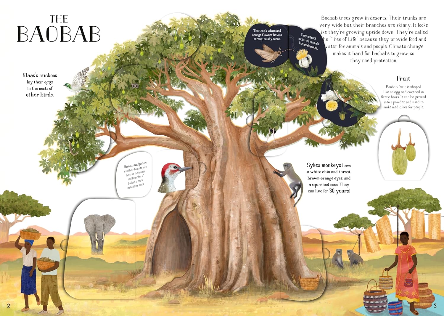 Tree of Life - Image 2