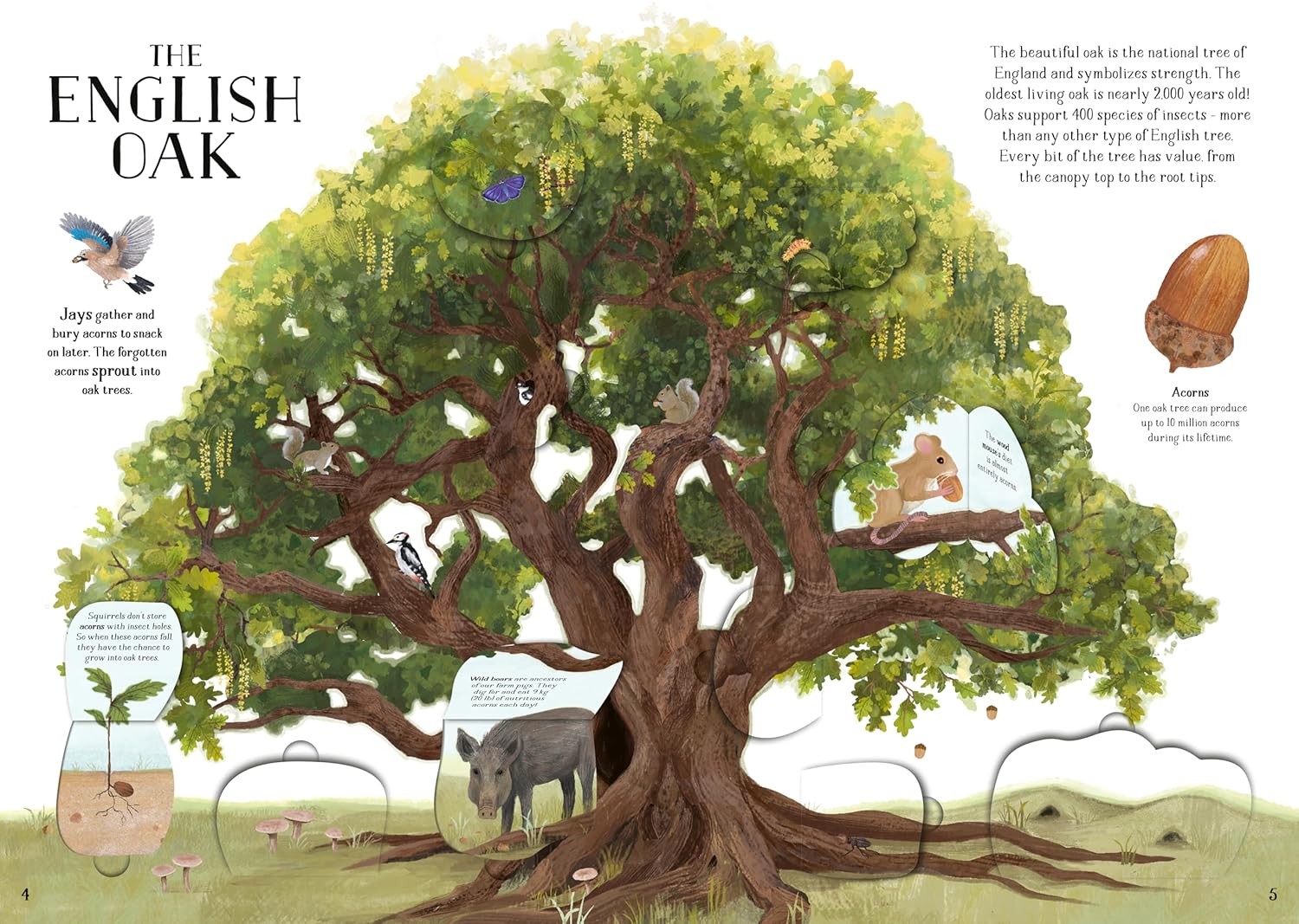 Tree of Life - Image 3
