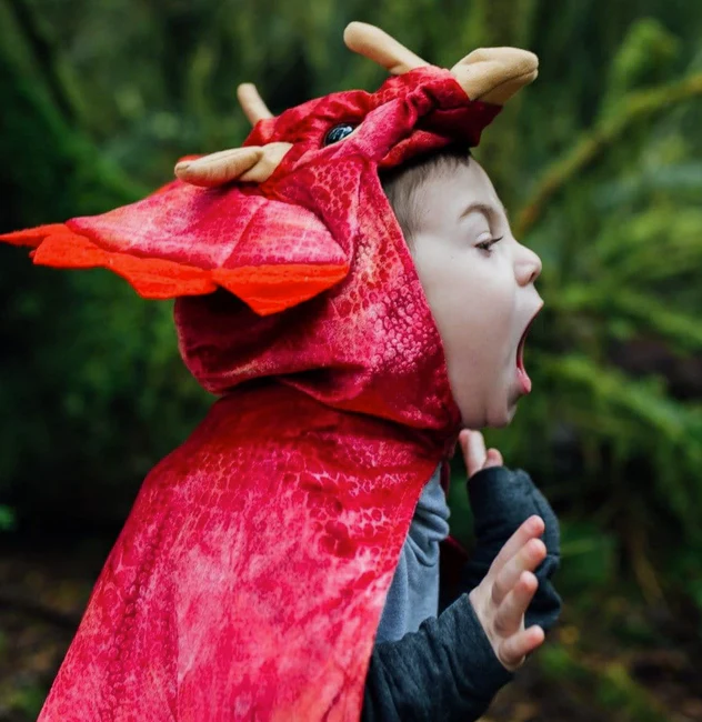 Triceratops Hooded Dinosaur Cape - Image 2