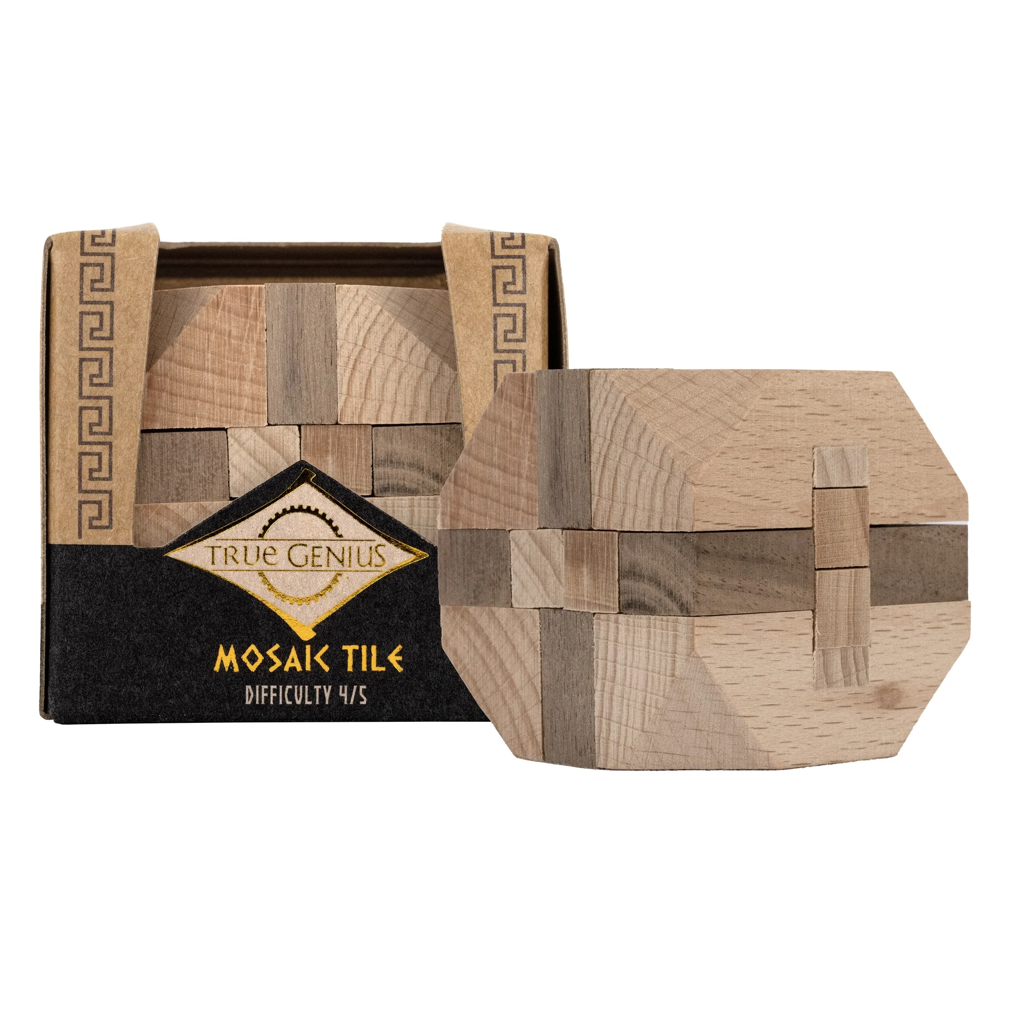 True Genius | Mini Puzzle - Image 3