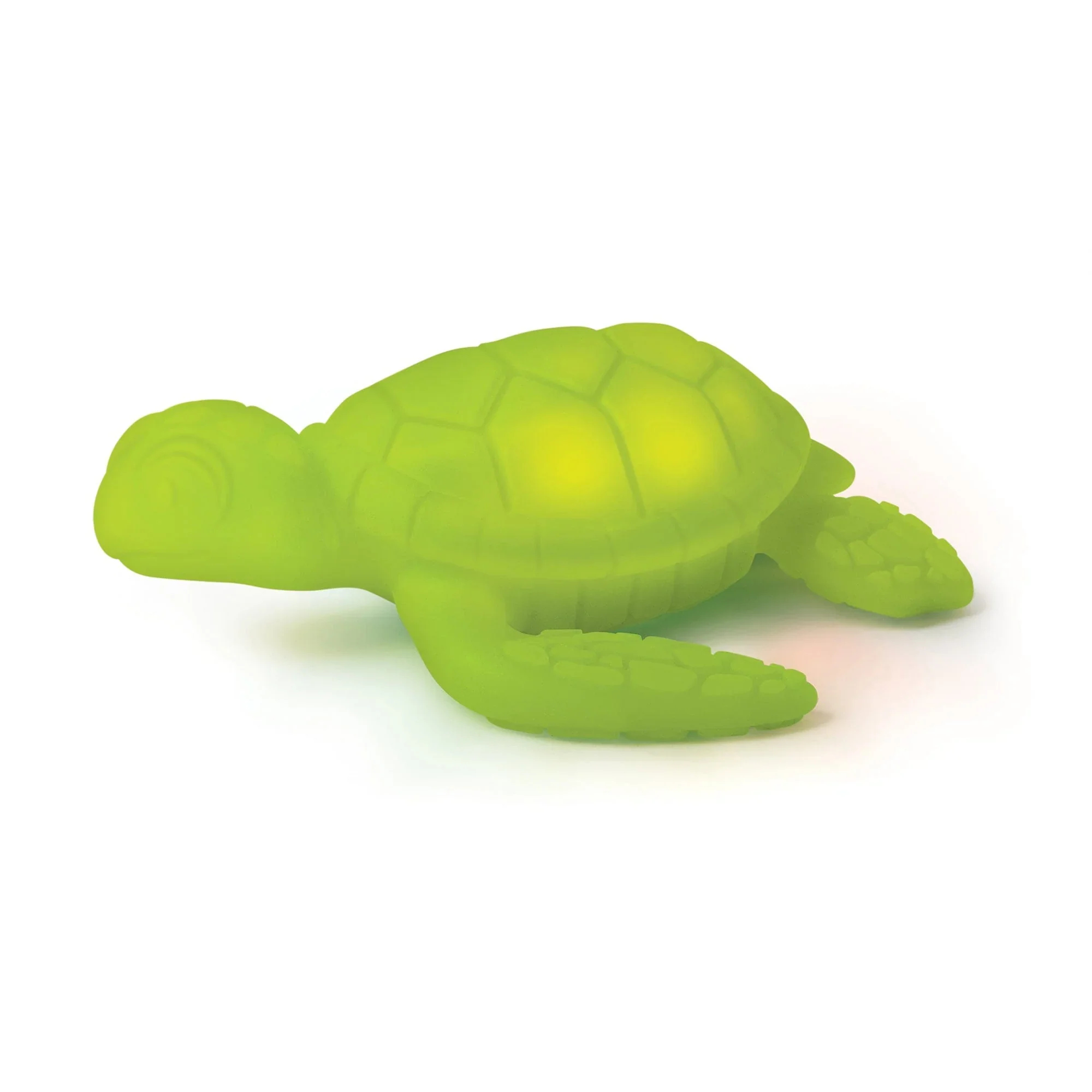 Tub Turtle - Image 3