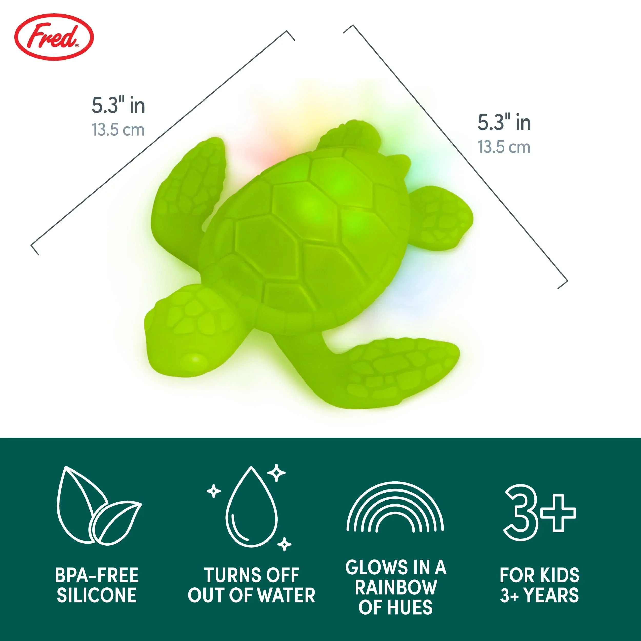 Tub Turtle - Image 4