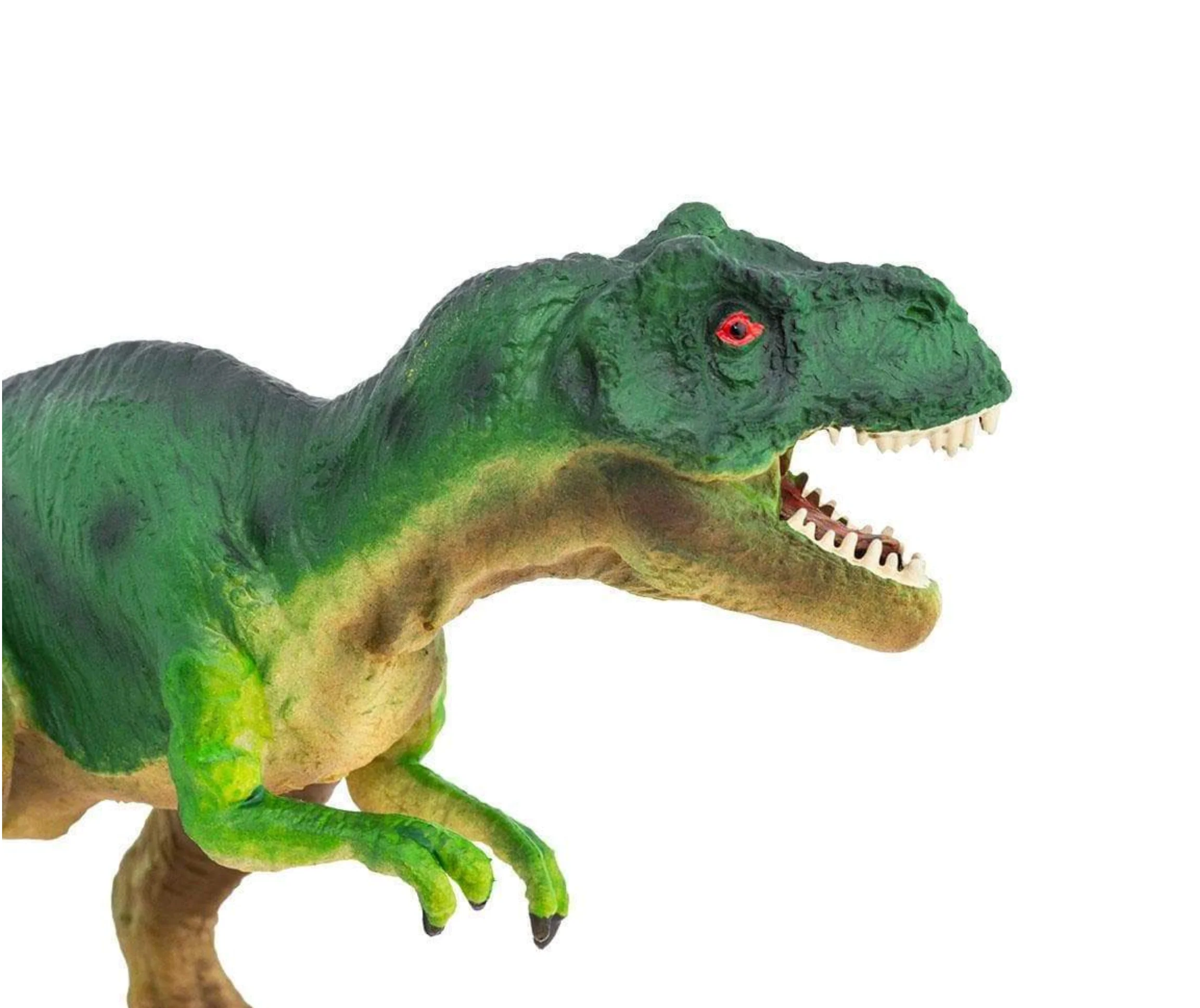 Tyrannosaurus Rex - Image 2